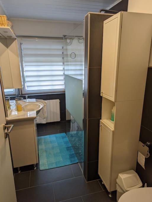 Ferienwohnung Philippi - Moselblick Mit Grosser Dachterrasse, 75 Qm, Hunde Willkommen Mehring  Ngoại thất bức ảnh